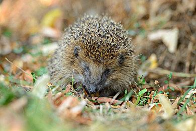 《严阵以待》DLC“Dark Waters”新预告 12月10日发售